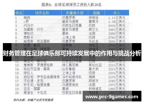 财务管理在足球俱乐部可持续发展中的作用与挑战分析